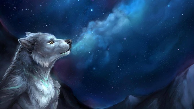 为什么大家不再提星链了（包括外网）？